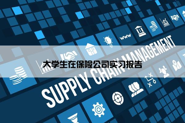 大学生在保险公司实习报告