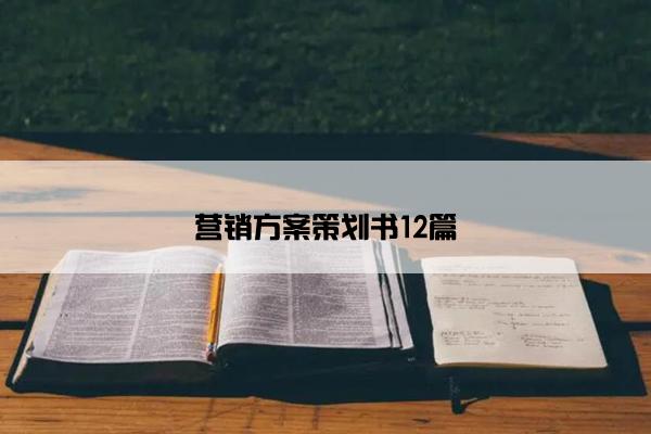 营销方案策划书12篇