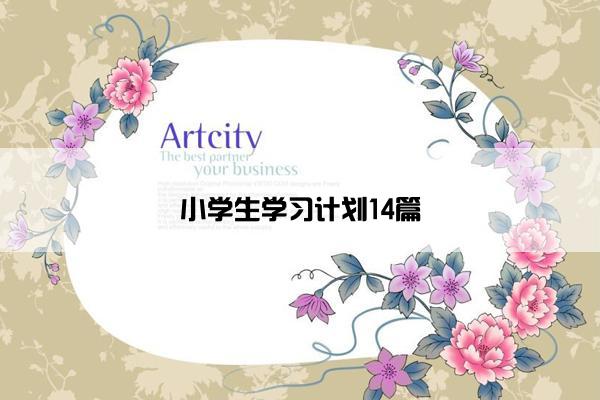 小学生学习计划14篇