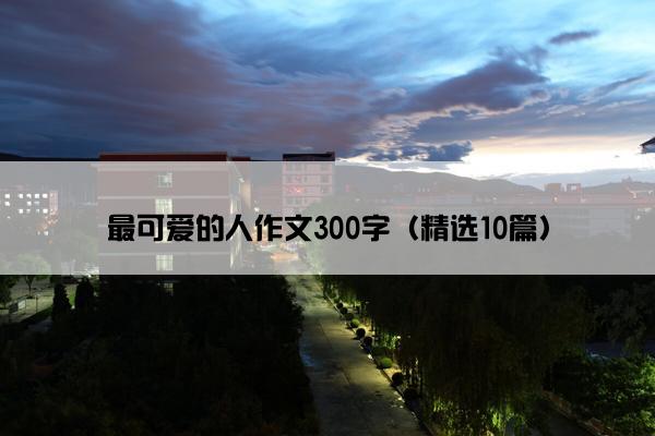 最可爱的人作文300字（精选10篇）
