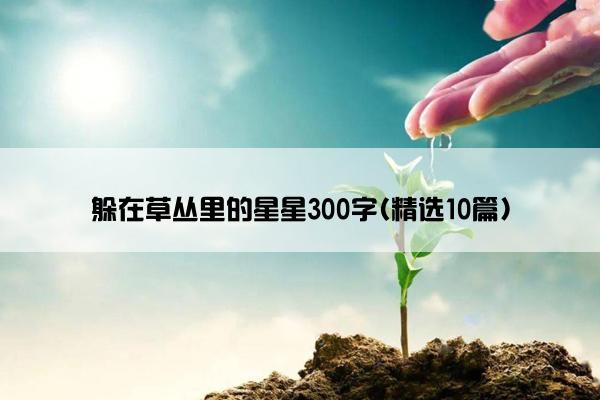 躲在草丛里的星星300字(精选10篇)