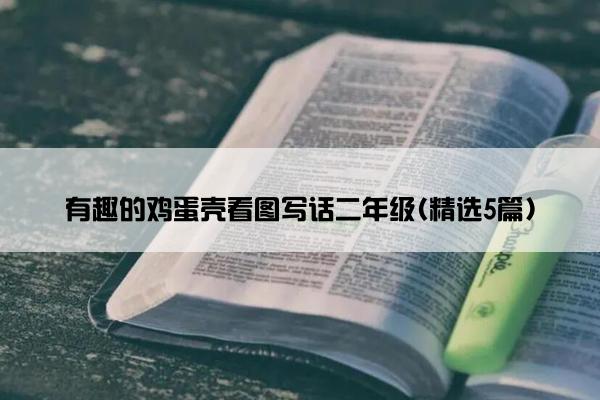 有趣的鸡蛋壳看图写话二年级(精选5篇)
